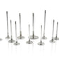 Ferrea Honda D16Z6/Y5/Y7/Y8 31mm 5.48mm 118.6mm 20 Deg +1mm Comp Plus Int Valve - Single (D/S Only)